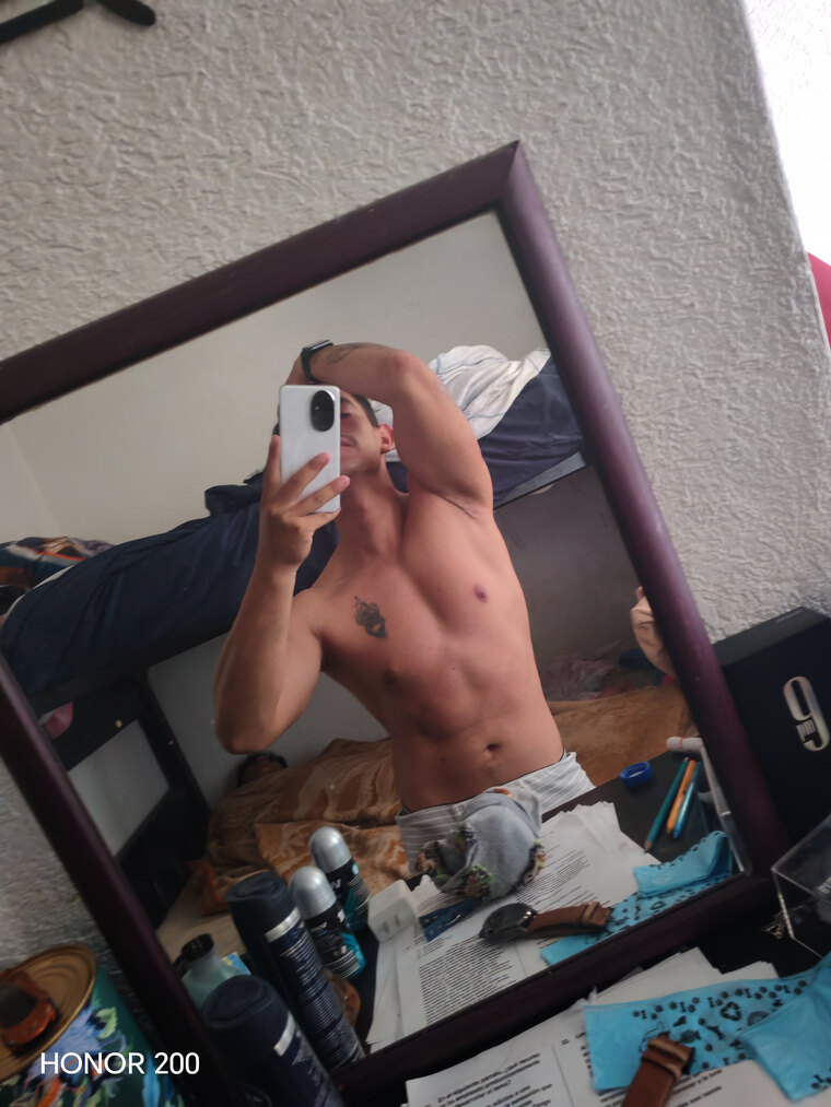 The Mexican Fit cover image