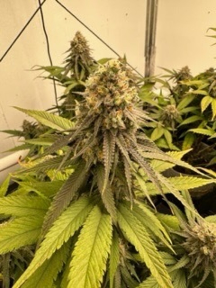 Fitandhighness banner image