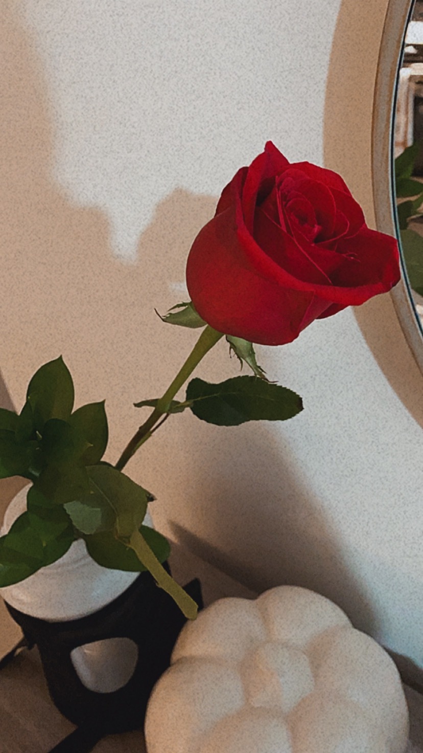 fitbabygirl banner image