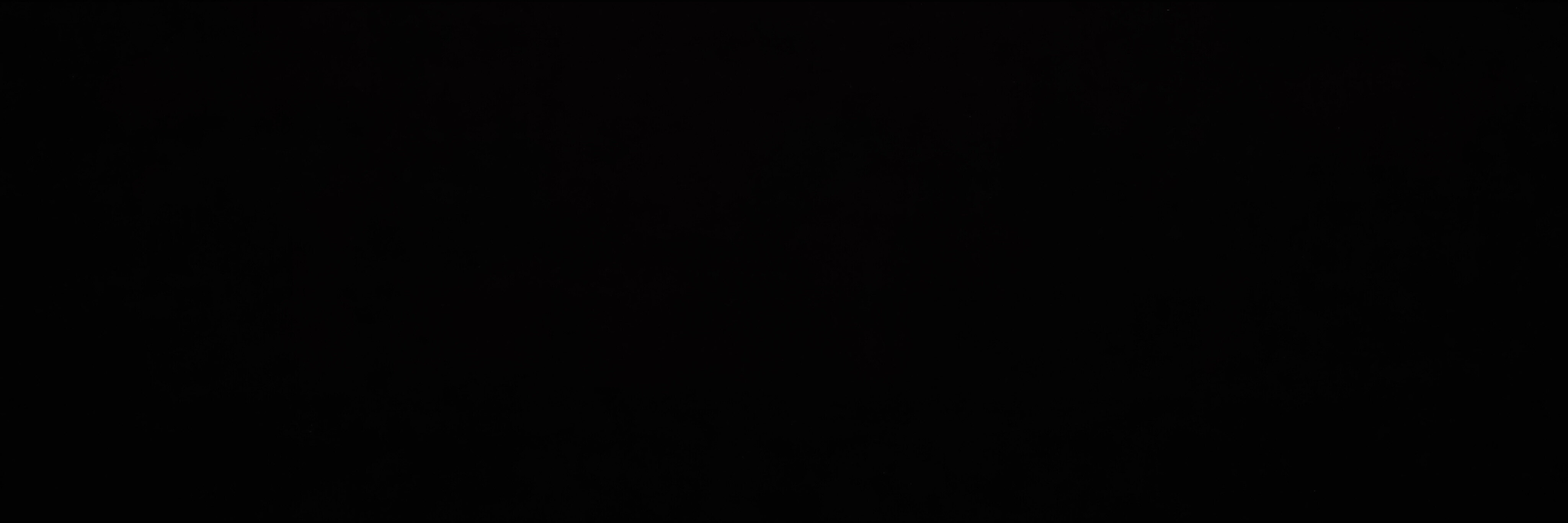 Fitnessex banner image