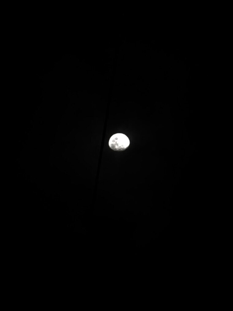 NickNXN banner image