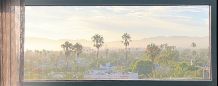 Spence B banner image