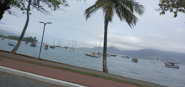 Flavinha cover image