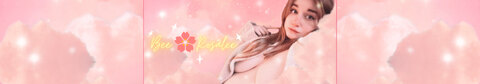 ✨ 🌸 bee 🌸 ✨ cover image