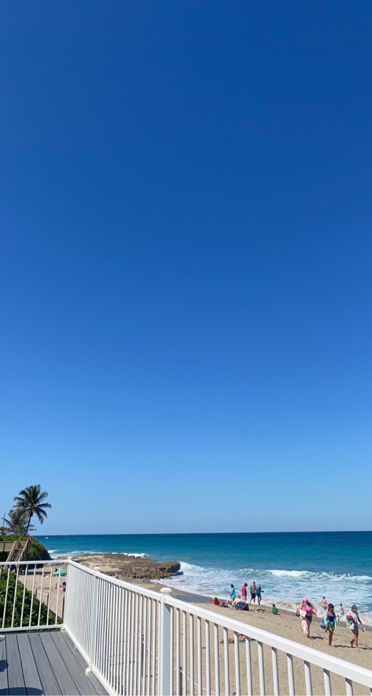 Bella banner image