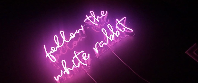 White Rabbit 🐰✨🔮 cover image