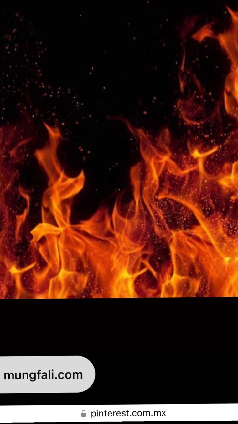 Flo Fey banner image
