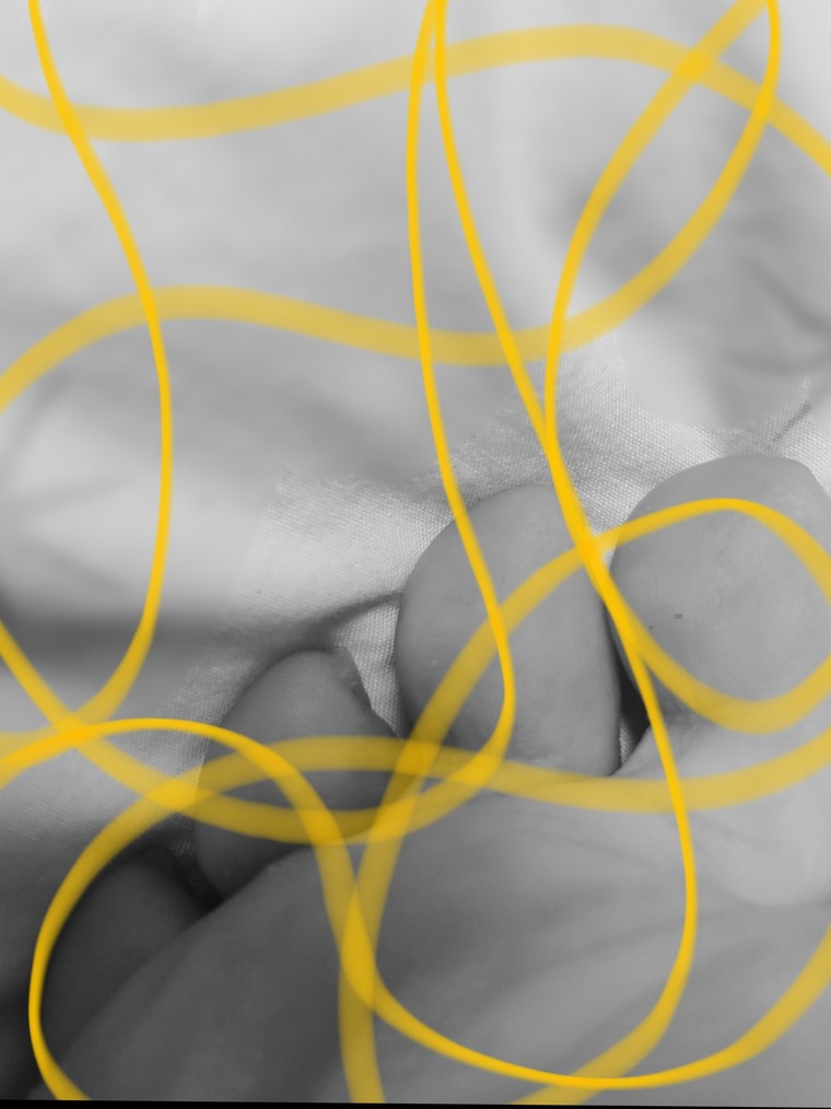 Flor banner image