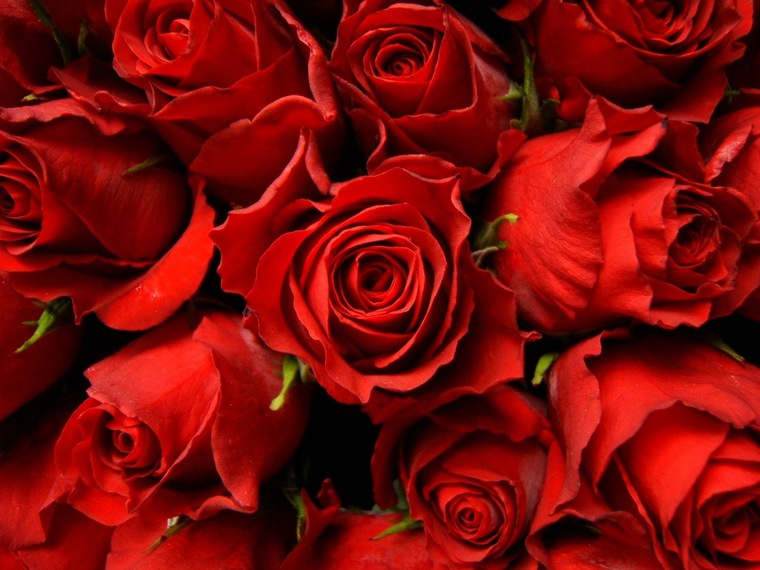 Flowerfeet banner image