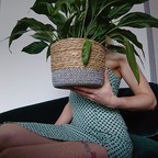 Flowering Lilly avatar