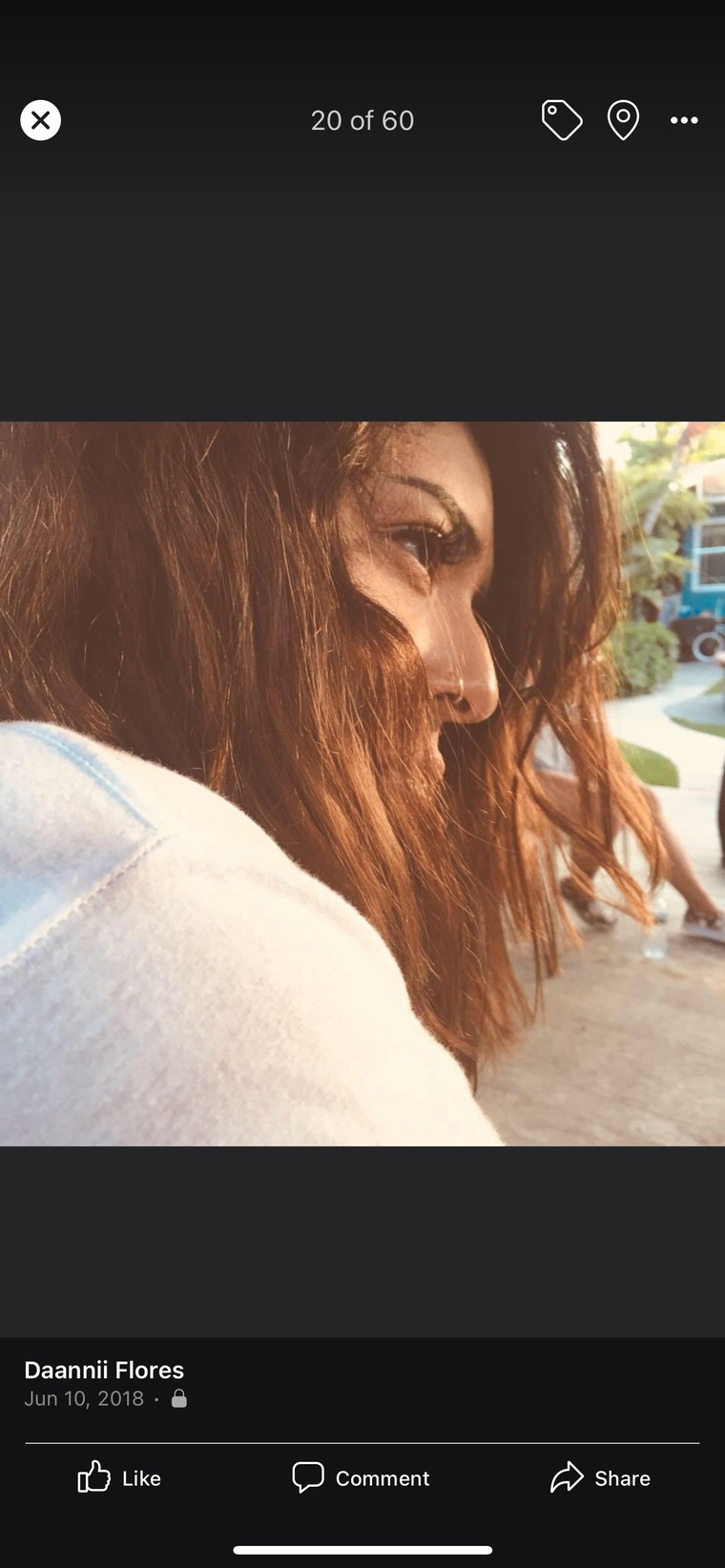 Life of Danni banner image