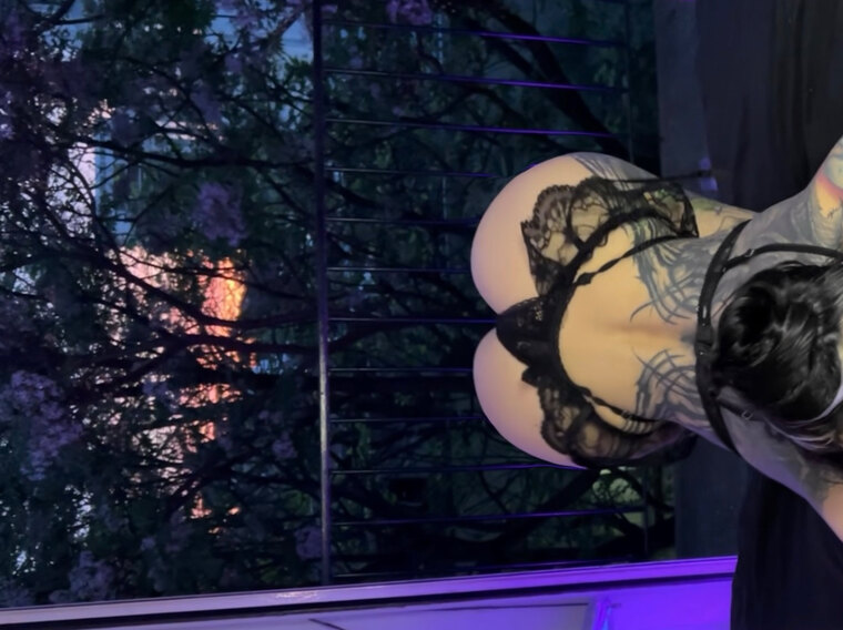 Flucsy Bunny 🐰🦇🖤🧷 banner image