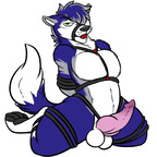 FluffyFolfsky avatar
