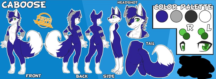 FluffyFolfsky cover image