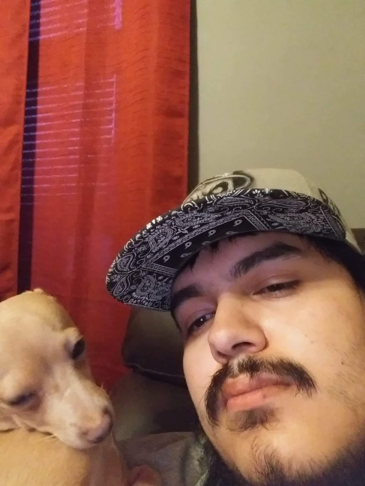 Fluffy Stoner XXX banner image
