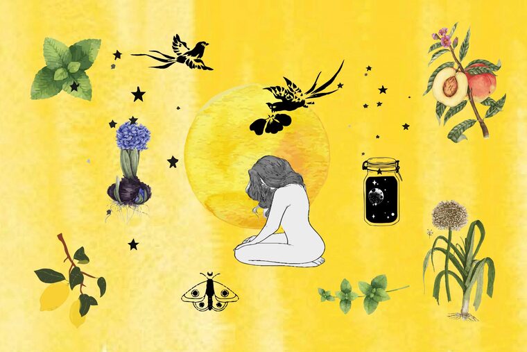 Fern banner image