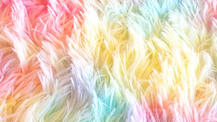 Flutter_Feeties cover image
