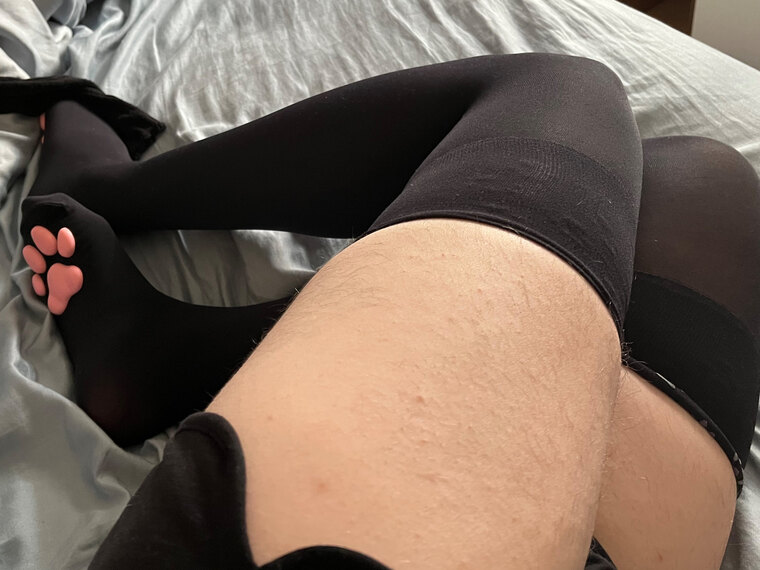 FluxxyDaCat banner image