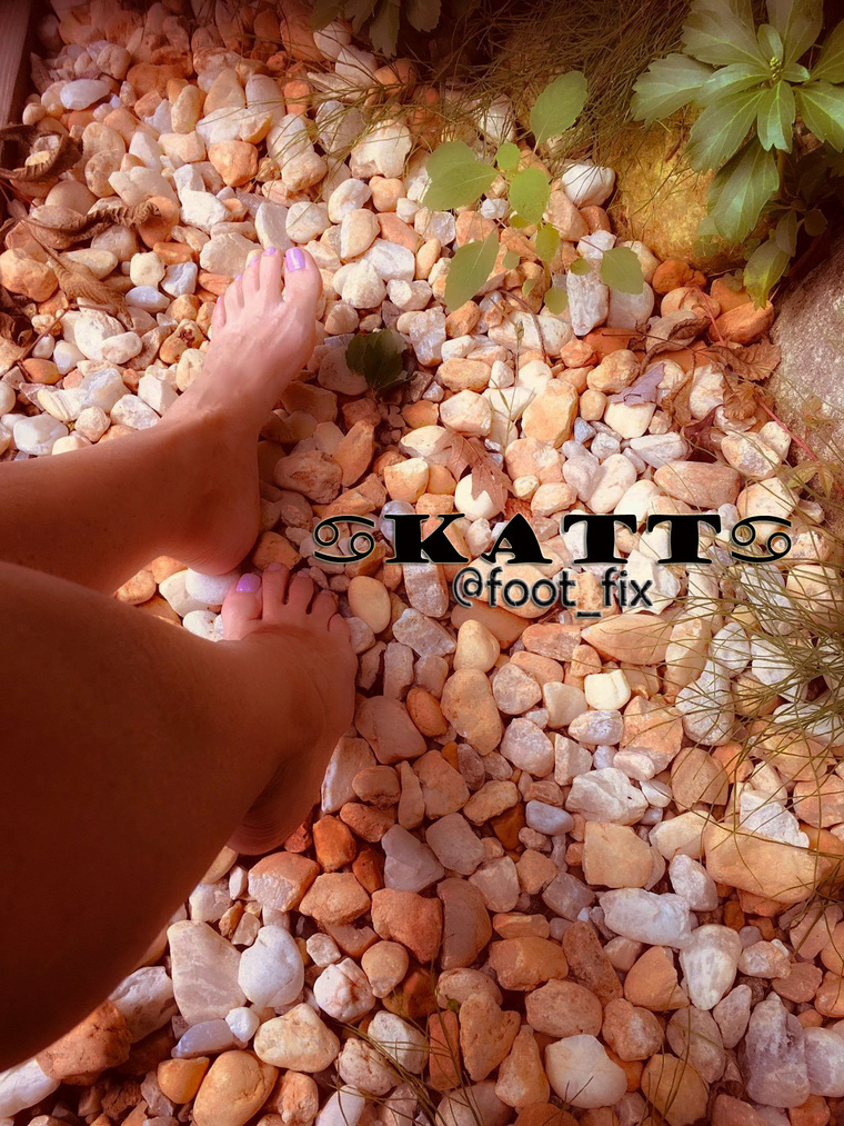 Katt cover image