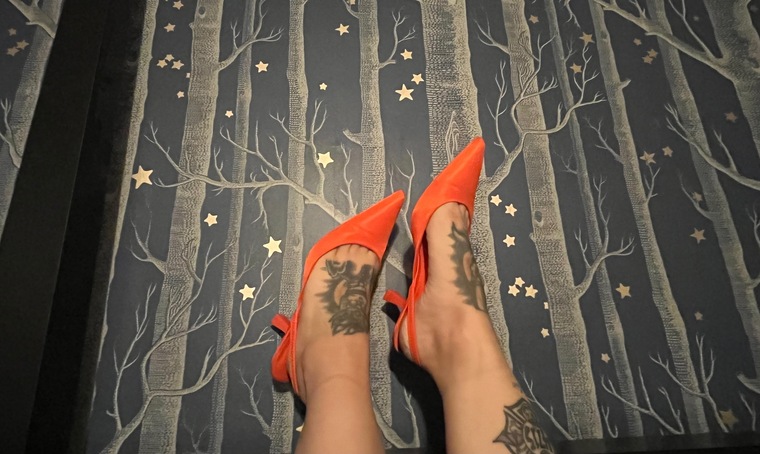 Stef cover image
