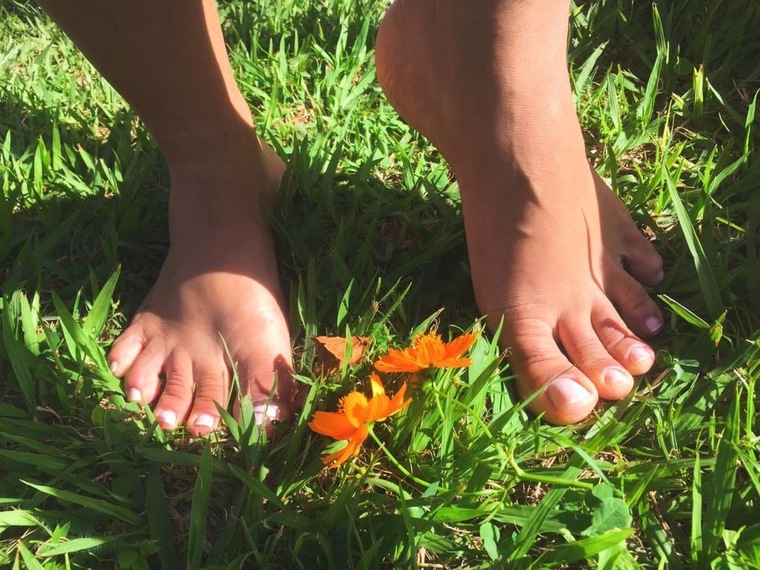 Little Bunny Feet cover image