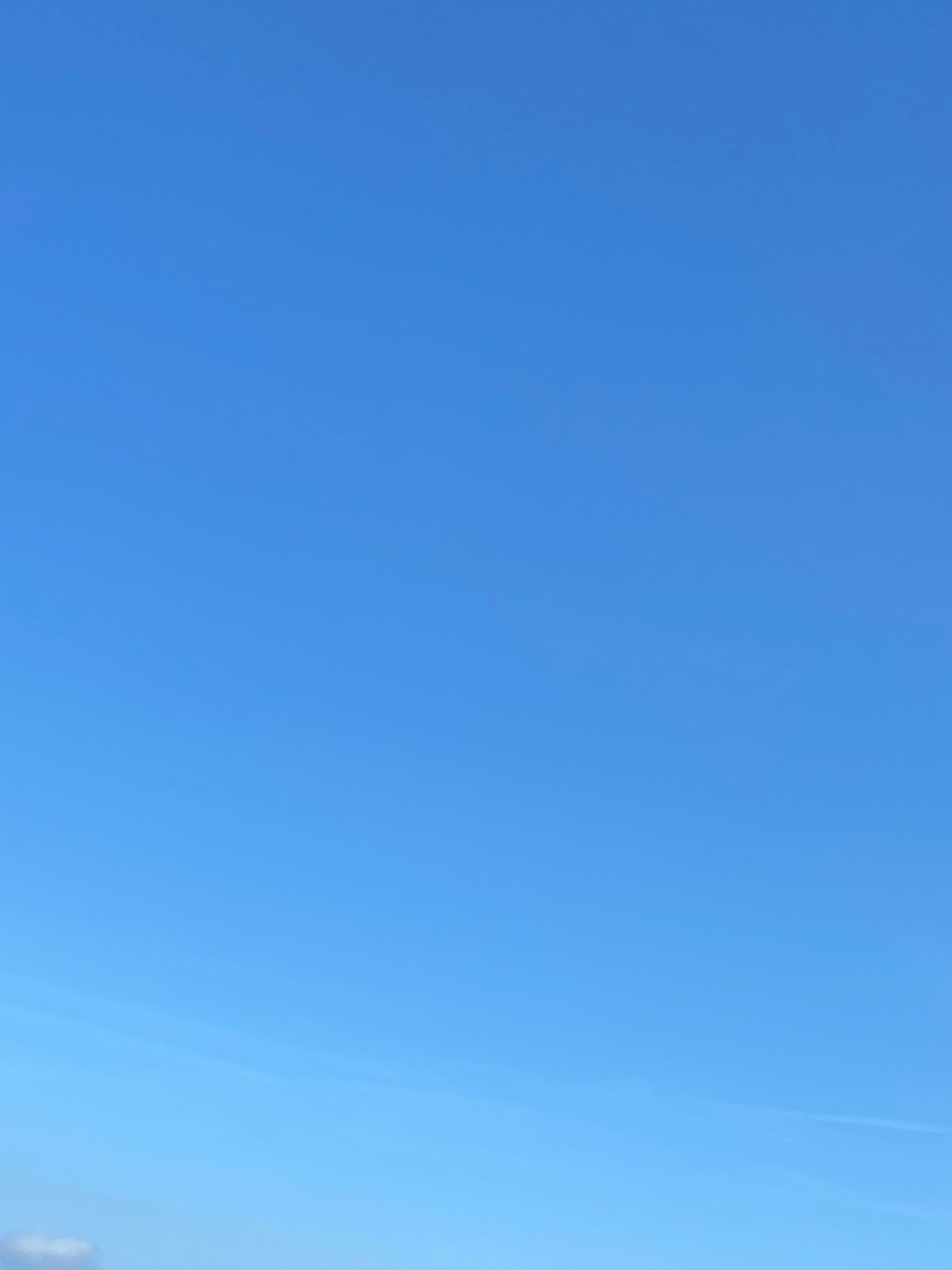 Foot princess banner image