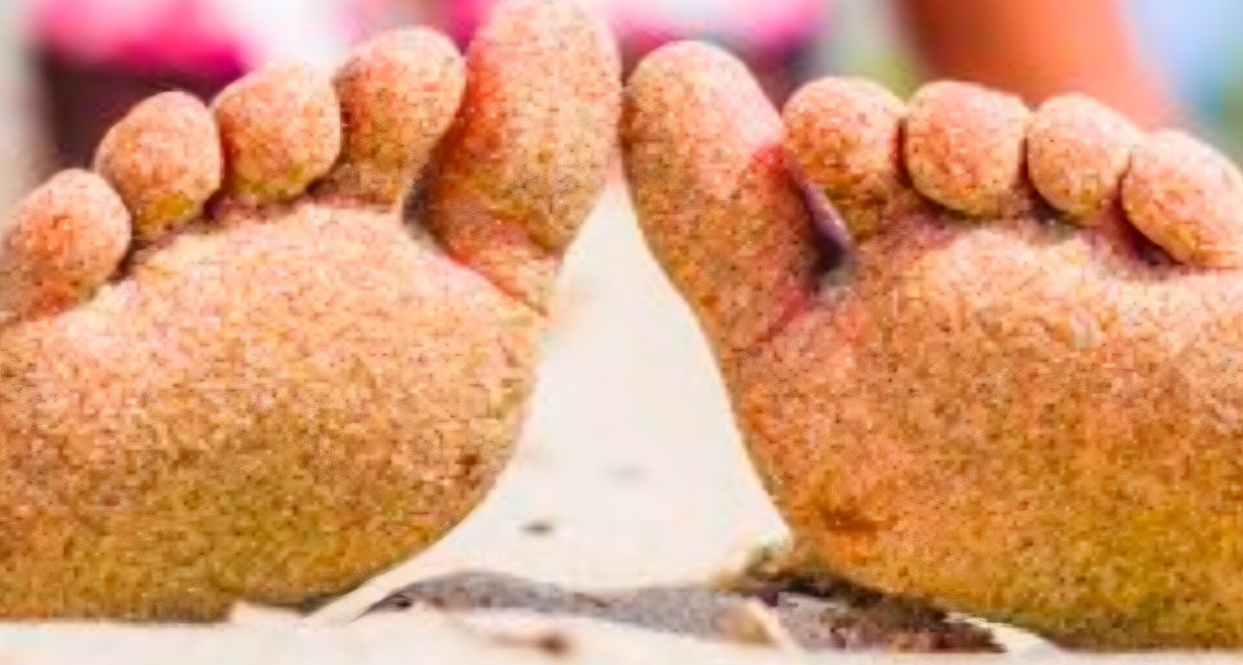 TheFootFlirtGirl banner image