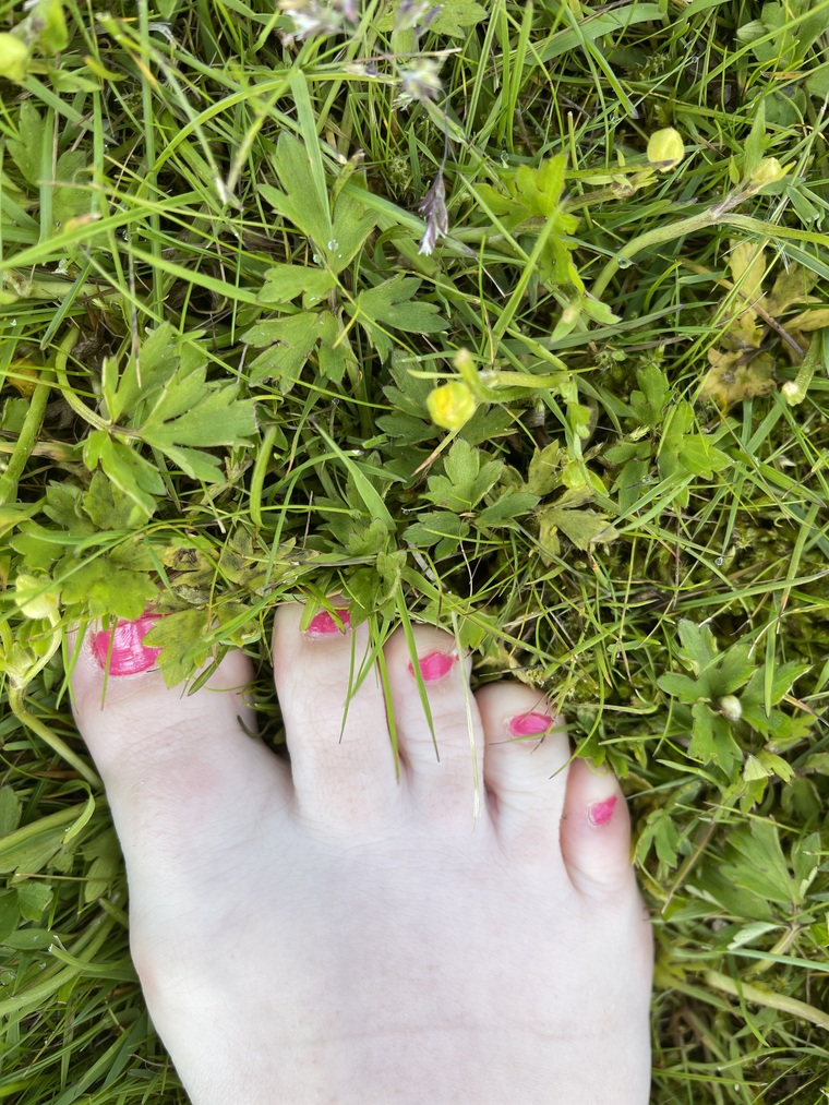 Maria Foot(d)fetish cover image