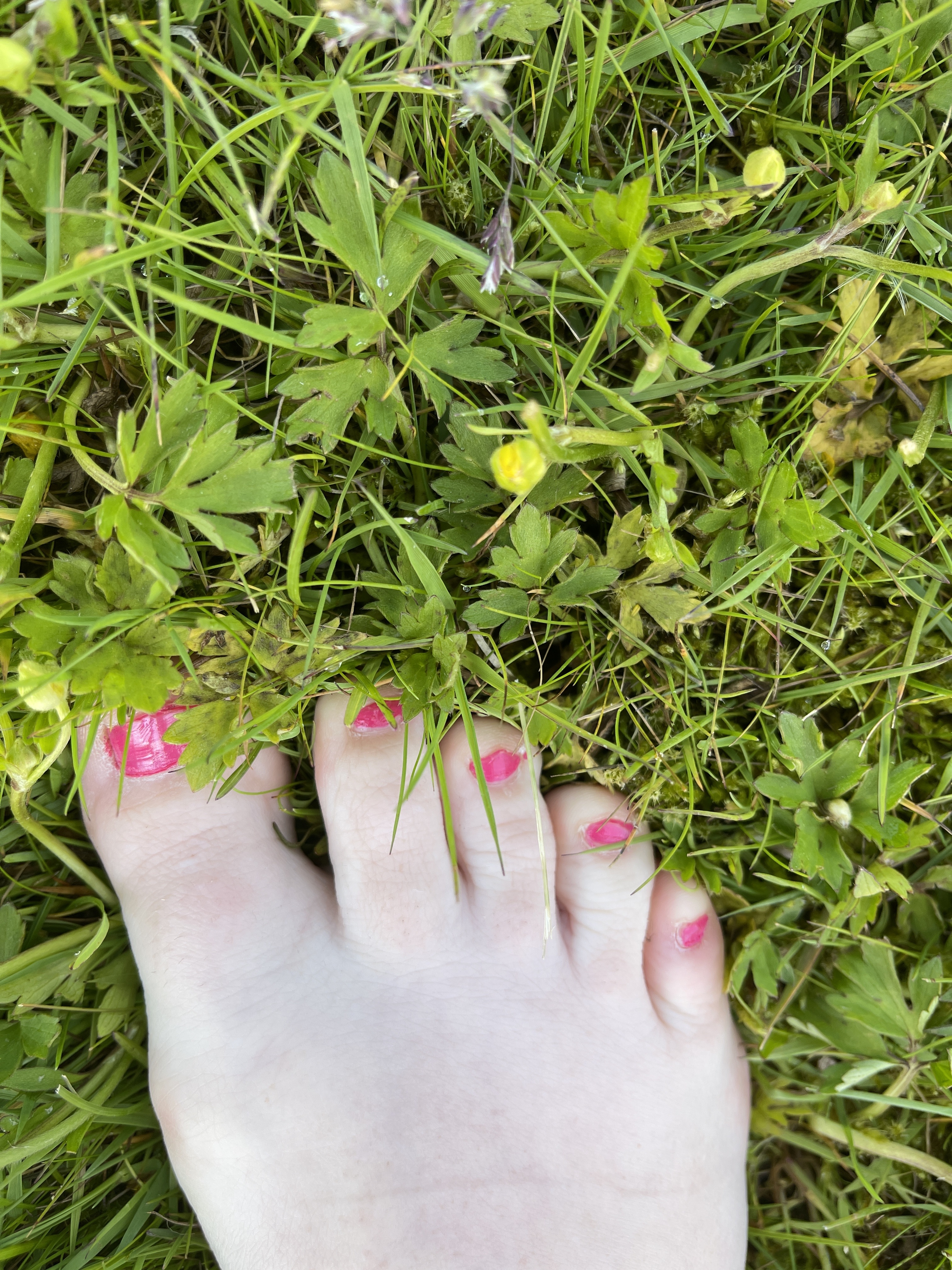 Maria Foot(d)fetish banner image