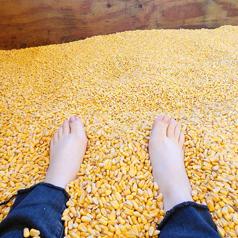 Foot Kandy banner image