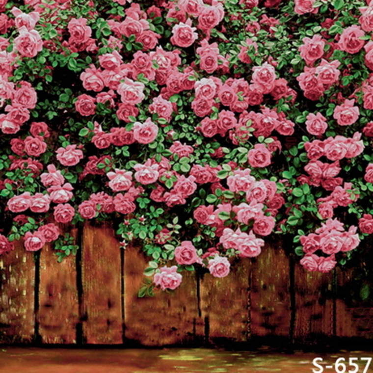 Ali’s Foot Pics🦶🏼🌸 cover image