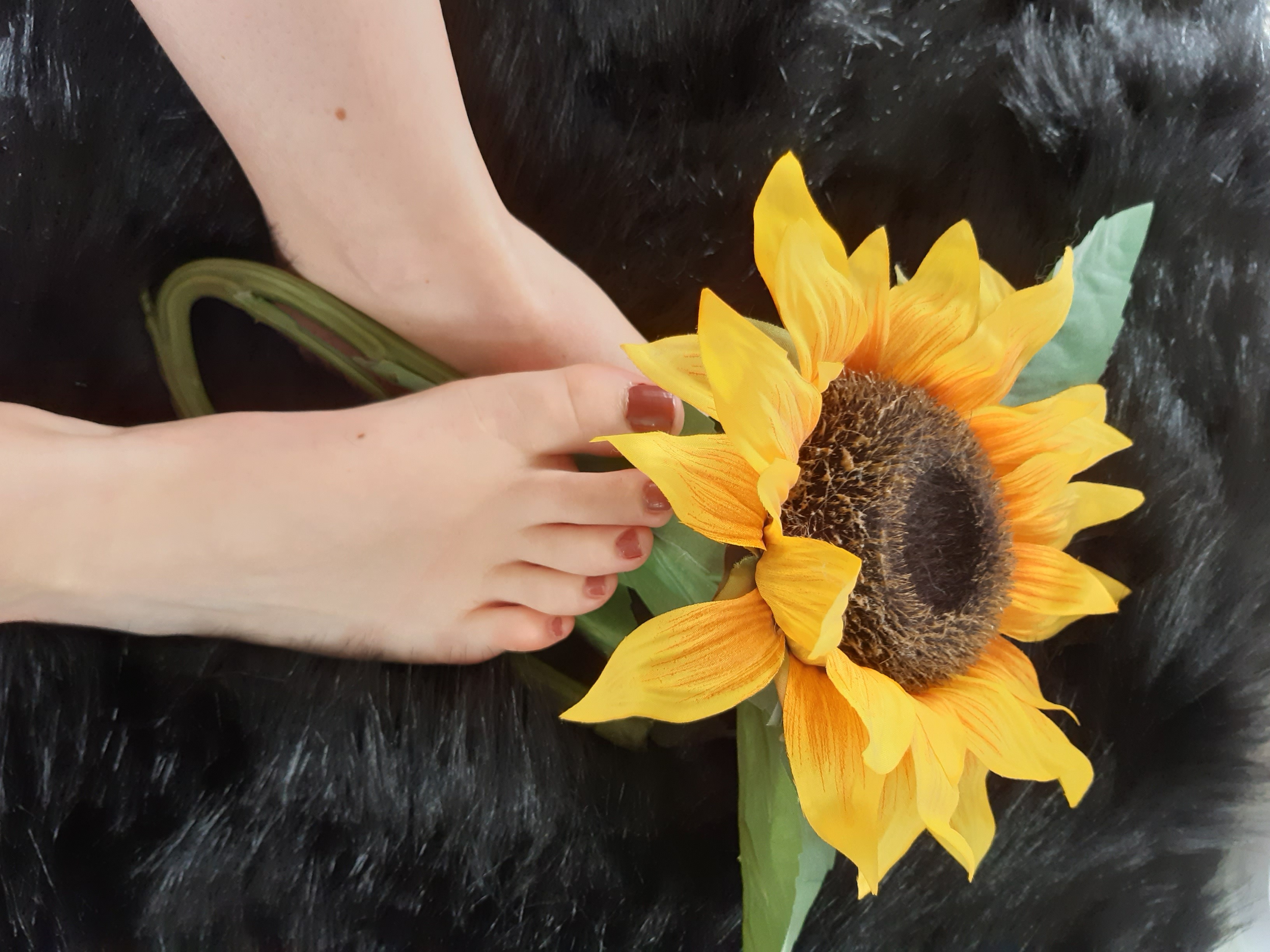 FootPrincess💕 banner image