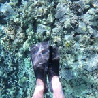 footsietemptress avatar