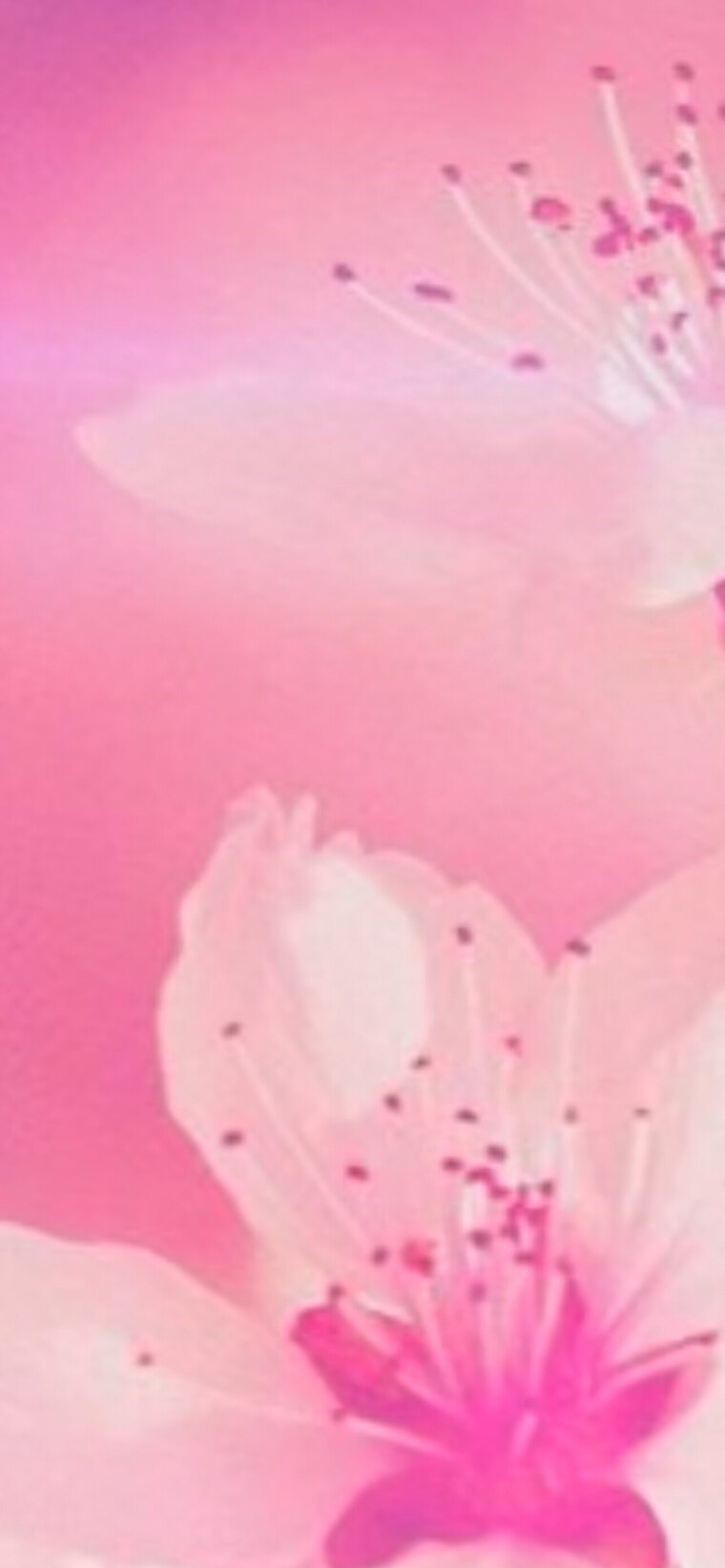 Big bootyyy cover image