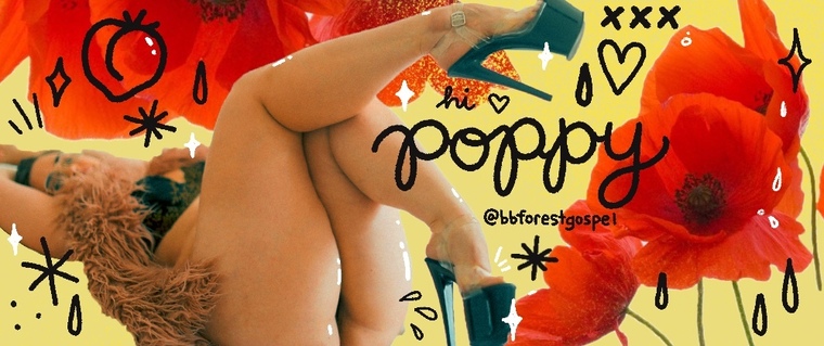 poppy ✦ banner image