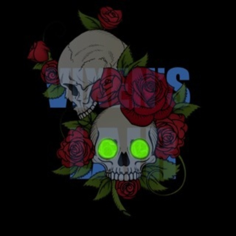 Vixen’s Lair cover image