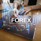 ForexFreedom avatar