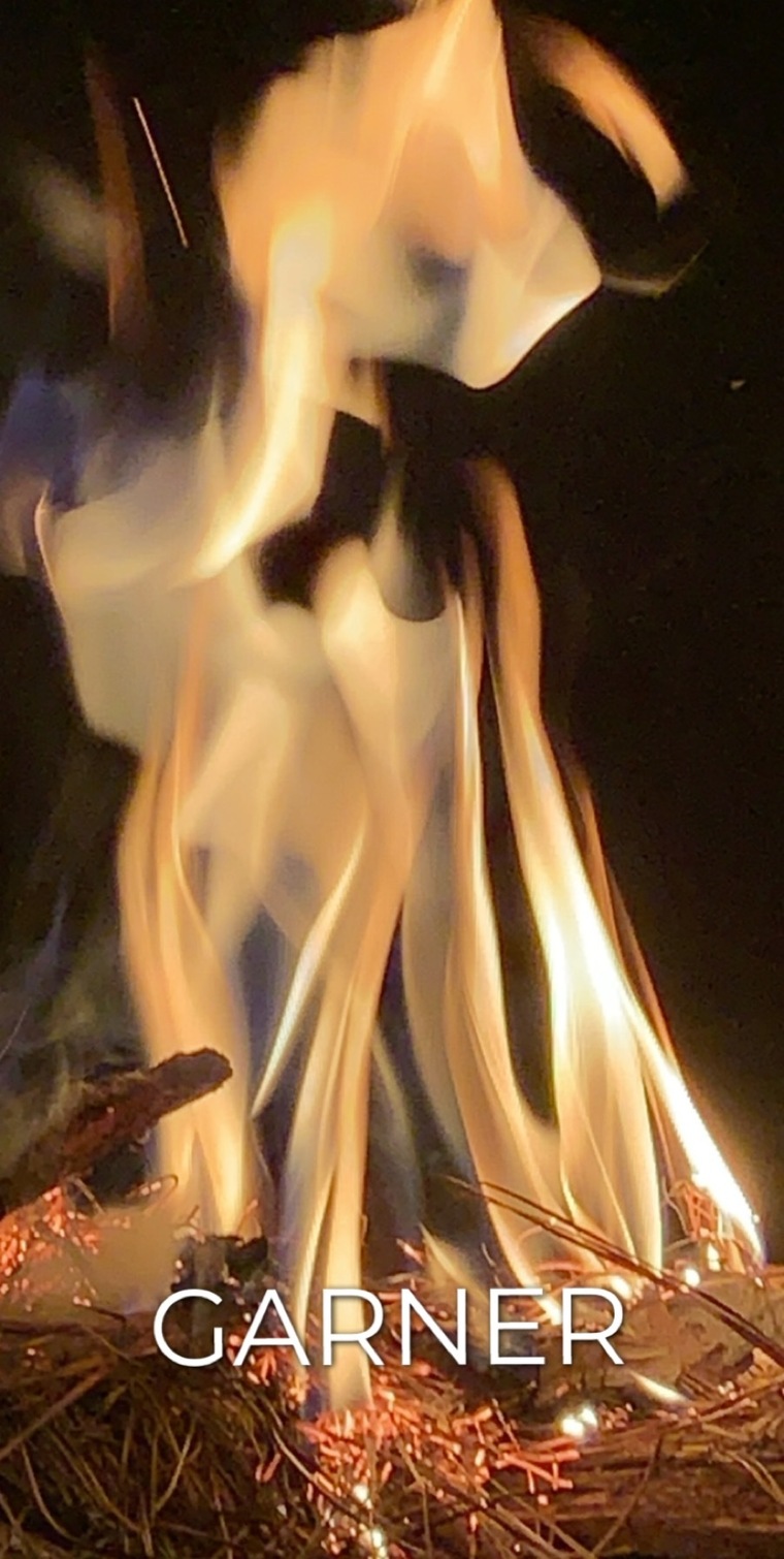 Fortyk cover image