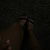 Desire avatar