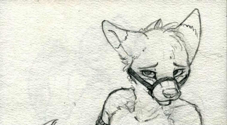 Papa Fox banner image