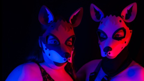 Mr Fox and Mrs Panda cover image