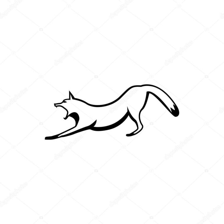 FoxBetMentor 🦊 cover image