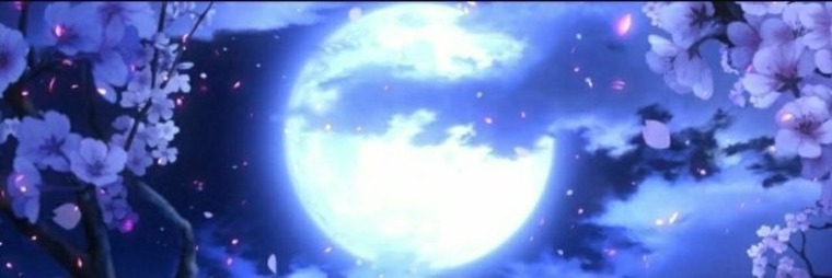 FoxieJY cover image