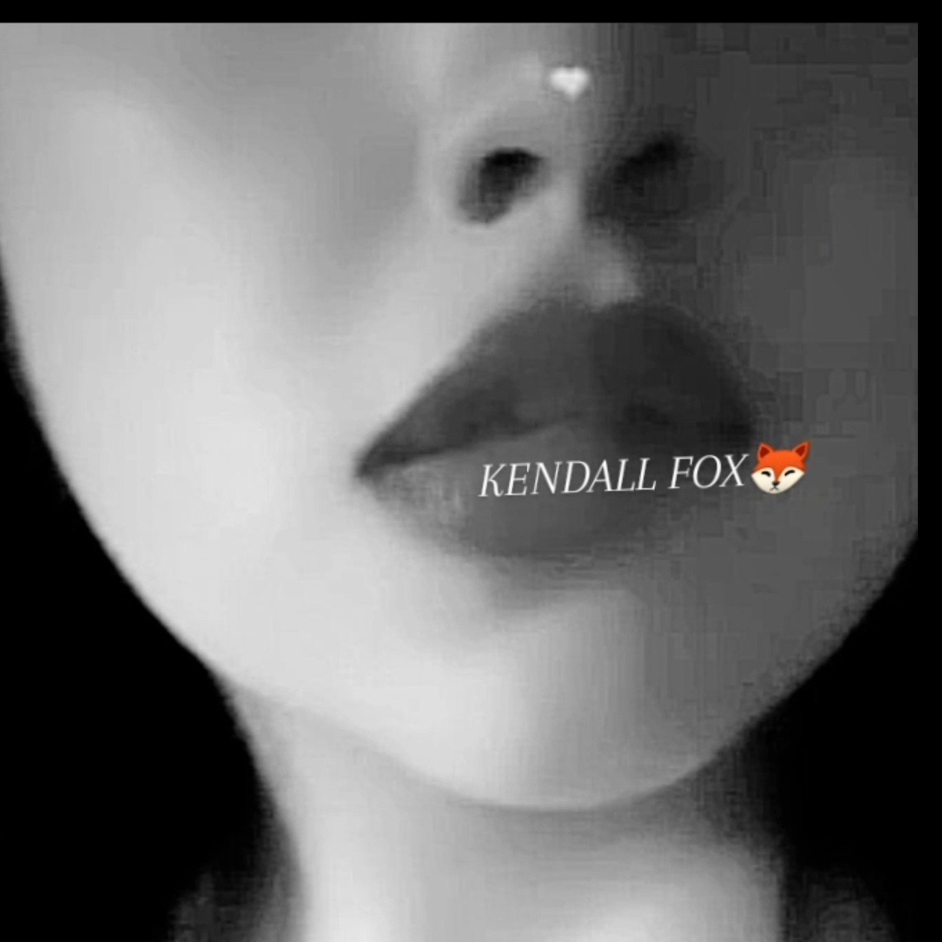 KENDALL•FOX banner image