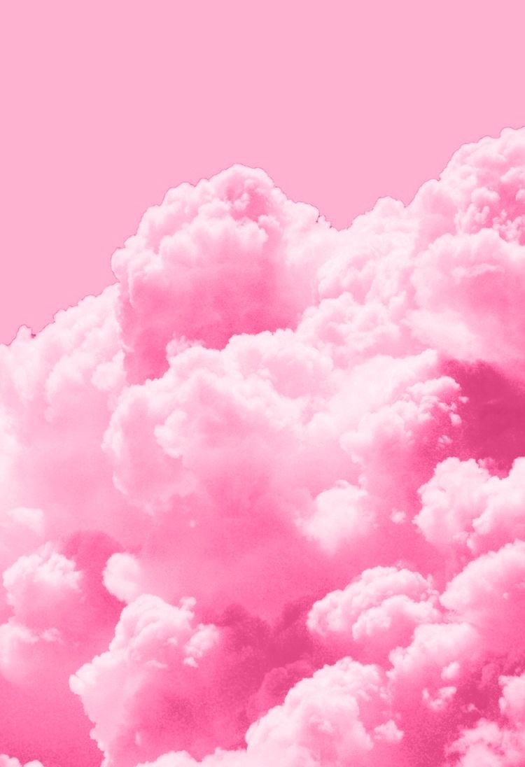 Mia Fox banner image