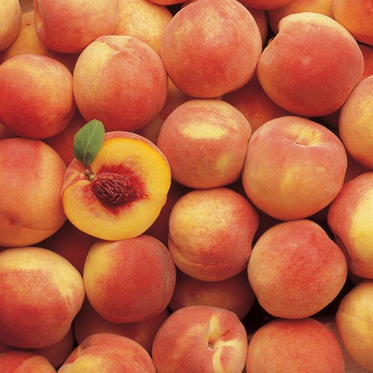 Peach banner image