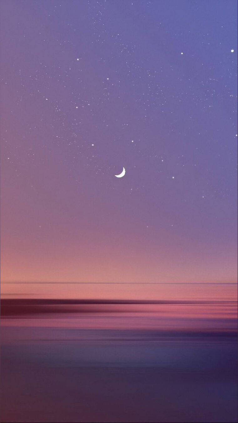 FoxyPink01 banner image