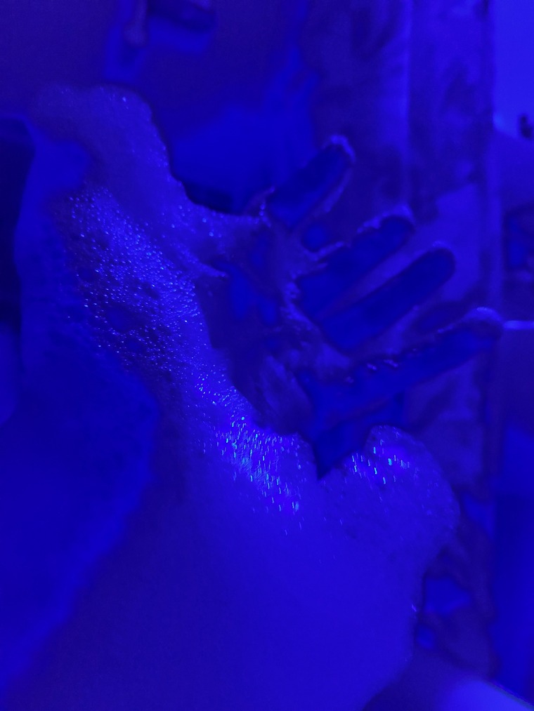Foxyyyzzdomme banner image