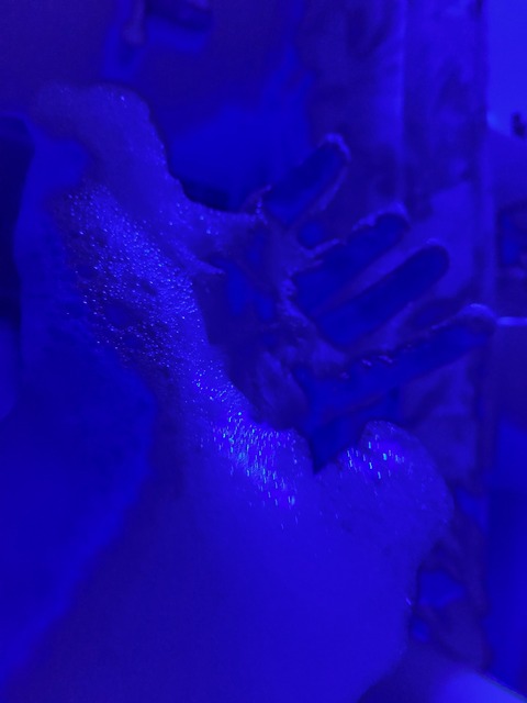 Foxyyyzzdomme cover image