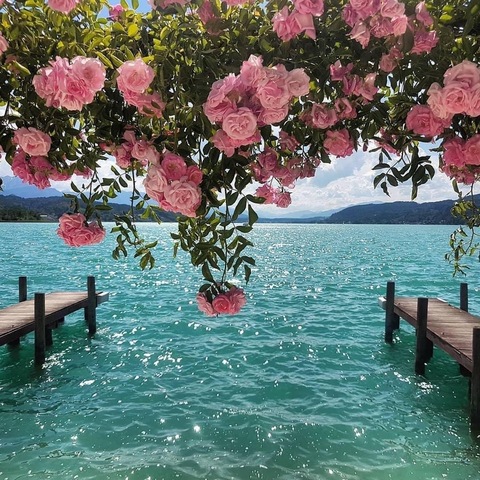 𝓕𝓻𝓪𝓲𝓵𝓾 cover image